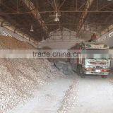 Excellent Dried Cassava Chip thumbnail-3