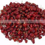 Mundu Red Chilles From Tamilnadu thumbnail-2