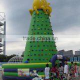 Soft material usefulrock climbing wall for sale/safe for children
