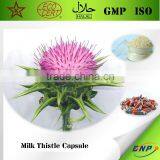 Top Sell High Quality Milk Thistle Capsule thumbnail-1