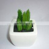 Mini Artificial Cactus With Pot for Indoor Decoration