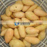 Commercial Potato Ginger Washer and Peeler Turnip Ginger Melon Fruit Ginger Washing and Peeling Machine thumbnail-6