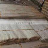 Sale 1.7mm Eucalyptus Core Veneer thumbnail-1