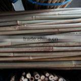 WY-213 2016 Hot Sale Natural Dry Strong Whole Part Moso Bamboo Poles for Agriculture and Construction thumbnail-5