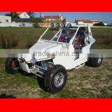 1100cc buggy