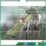 China Frozen Vegetable Production Line,Green Peas Quick Freezing Processing Equipment