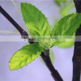 Home Garden Creepers Decoration 110cm Height Big Artificial White Child Spend Flowers Making EZZH04 2204 thumbnail-6