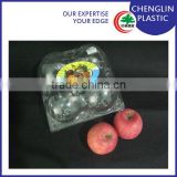 disposable blister fruit insert tray
