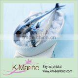 Hot Selling Fresh Frozen Mackerel Lot Number#kmw4021 thumbnail-1