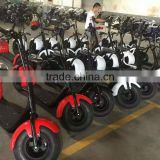 2016 crazy sell cheap 1000W citycoco electric motorcycle