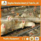 Heracles Trade Assurance Layer Chicken Cage-- 3 Layers Chicken Poultry Farm Equipment thumbnail-1