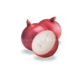 China red onion
