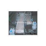 Chain Conveyor thumbnail-1