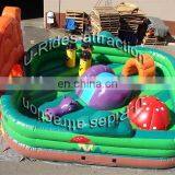 Inflatable Bouncer for Kids Jumping With CE