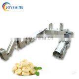 Plantain Cutter Machine/plantain Chips Fryer Machine/plantain Chips Plant thumbnail-1