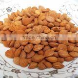 Bitter Apricot Kernels thumbnail-1