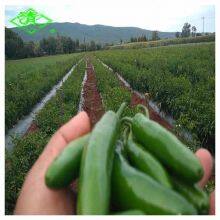 3 Layers Agricultural Plastic Black/White Mulch Film thumbnail-2