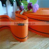 Factory Price Polypropylene Webbing Strap