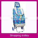 Hot Sale Fashion Asian Style Shopping Cart