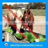 WHIR Export to Saudi Arabia Low Cost Greenhouse for Growing Fodder Barley Grass thumbnail-2