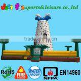 Giant Adults Inflatable Rock Climbing Wall for Sale