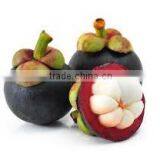 Organic Fresh Mangosteen thumbnail-1