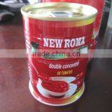 Tomato Sauce 800gram ,hard Open/easy Lid With High Quality thumbnail-3