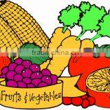 Acrylic Drawing Kids Canvas Painting Set Easy to Paint thumbnail-1