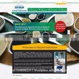 Mini Website Designer thumbnail-2