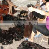 Nantong Jinxin Hair Products Co., Ltd. company overview - view 2 thumbnail