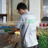 Zhangjiagang Highbright Retail Display Factory company overview - view 2 thumbnail