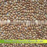 New Crop Chinese Pink Cowpeas,Vigna Beans 2016 Crop