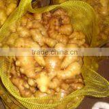 Competitive Price Wholesale Fresh Young Ginger thumbnail-5