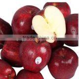 Delicious Red Huaniu Apple Sweet Taste Apples With Best Price thumbnail-2