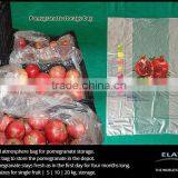 Grapes Protecting Bags thumbnail-5