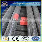 Galvanized wire mesh roll/ 6ft Chicken wire netting China supplier