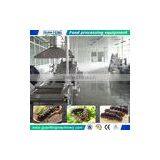Food Machinery Manufacturer Sea Cucumber Processing Line thumbnail-2