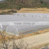 Baolida Single-span Tunnel Agriculture Greenhouse thumbnail-1