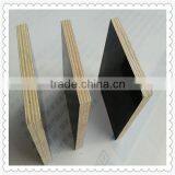 18mm Marine Plywood Film Faced Plywood thumbnail-1