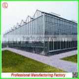 Hot Sale Multi-span Glass Agricultural Greenhouse for Garden thumbnail-2