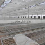 China Market Movable Seedbed Bed For Agricultural Greenhouse thumbnail-1