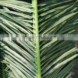 Fake Palm Tree Leaves Artificial Coconut Tree Leaves thumbnail-4