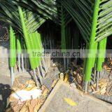 SJ7001026 Outdoor Palm Tree Leaf With UV Protection thumbnail-4