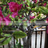 Wholesale Artificial Orchid Near Nature Artificial Orchid Tree for Decor thumbnail-3