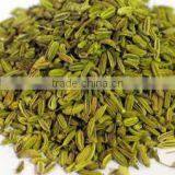 Fennel Oil thumbnail-2