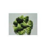 Freeze Dried Broccoli thumbnail-1