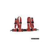 Safety Belt thumbnail-1