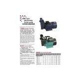 WZB Type Self-priming Vortex Pump