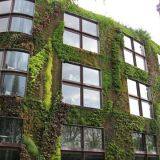 Ecological Mesh & Climber Trellis Mesh thumbnail-4
