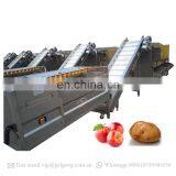Cherry Tomato Grader Olive Grading Fruit Washing And Sorting Machine thumbnail-6